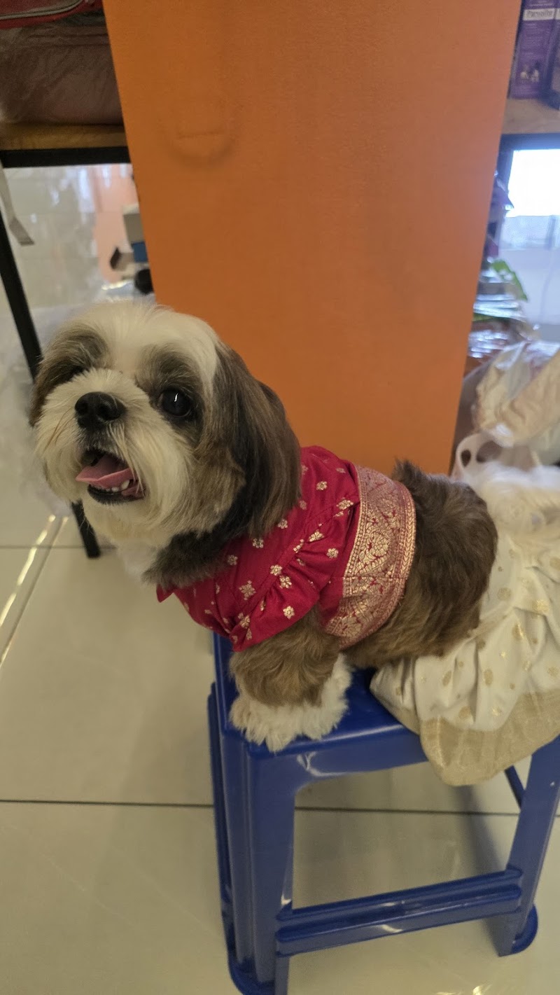 The PetNest Multi-speciality Veterinary Hospital — Photo 3