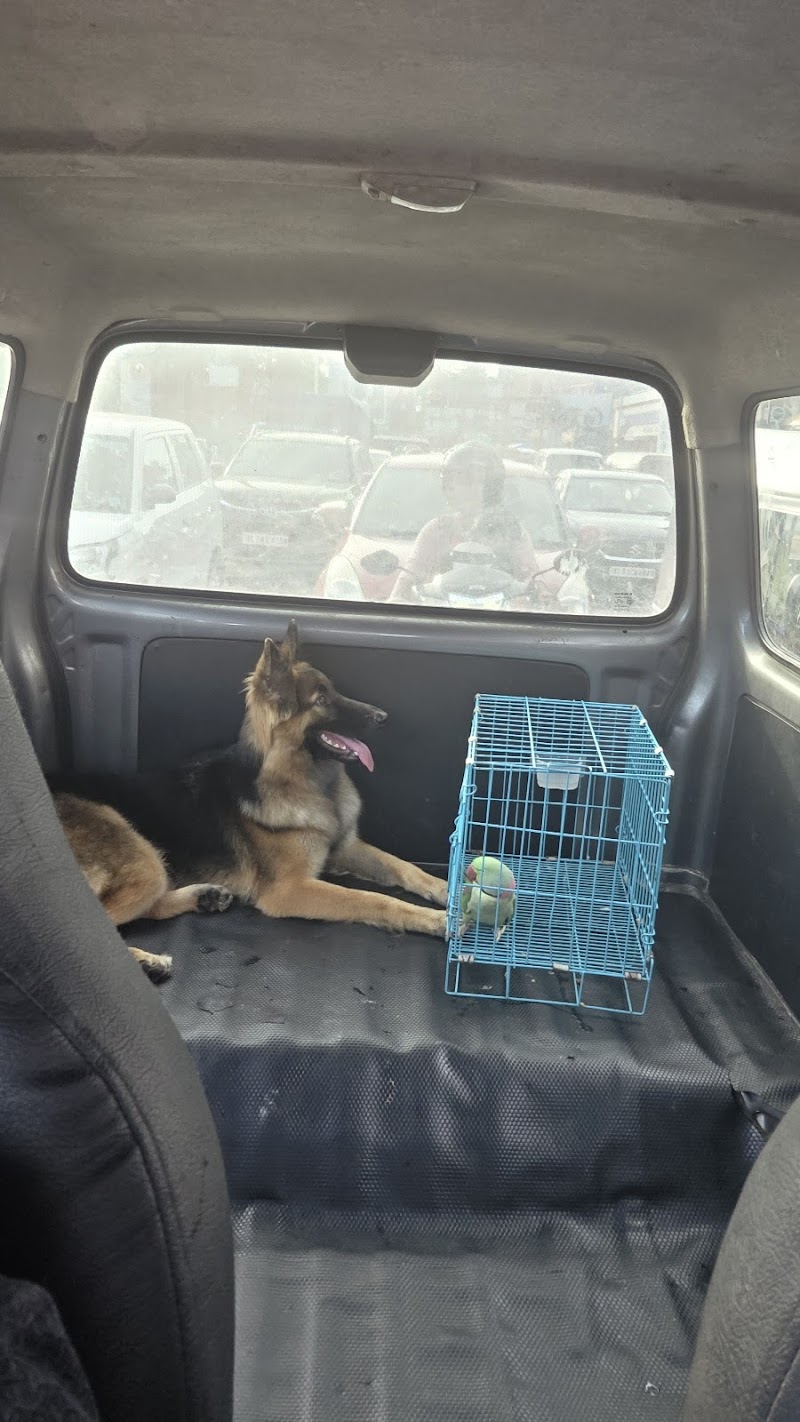 The PetNest Multi-speciality Veterinary Hospital — Photo 4