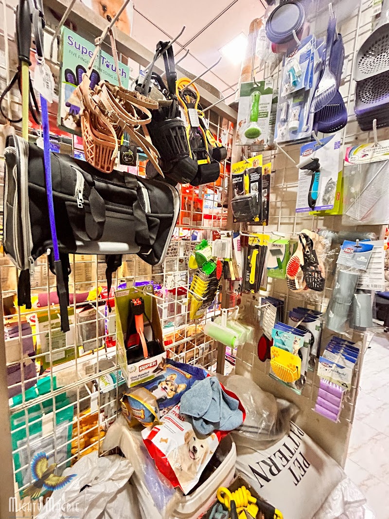 THE PETS HUB — Photo 4