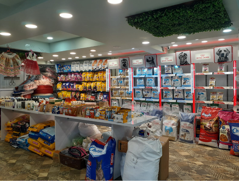 The Snout Pet Shop Dog Biscuits Wholesaler And NGO Dog Food Supplier in Delhi