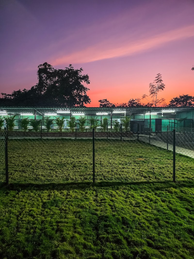 The SouthPaws Pet Resort