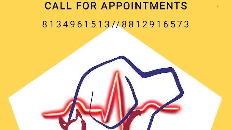 THE VISITING15VETS GHY — Photo 1