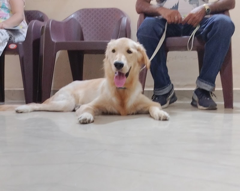 THE VISITING15VETS GHY — Photo 3