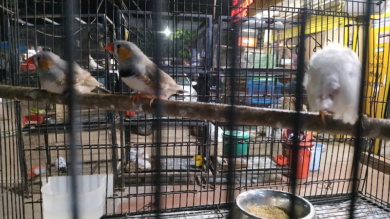 TOM AND JERRY PET CARE — Photo 2