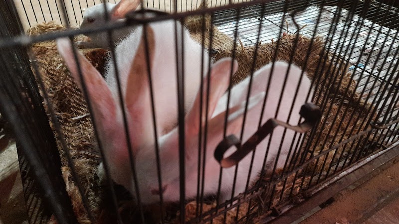 TOM AND JERRY PET CARE — Photo 4