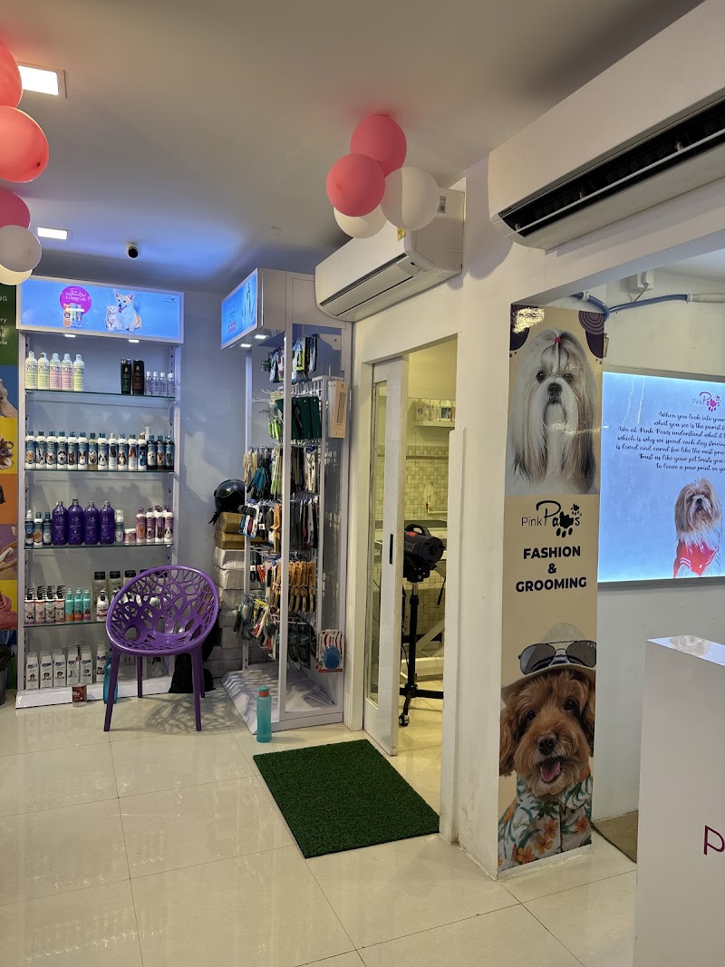 Top Pet Shop & Grooming Parlour in Bhubaneswar | Pink Paws