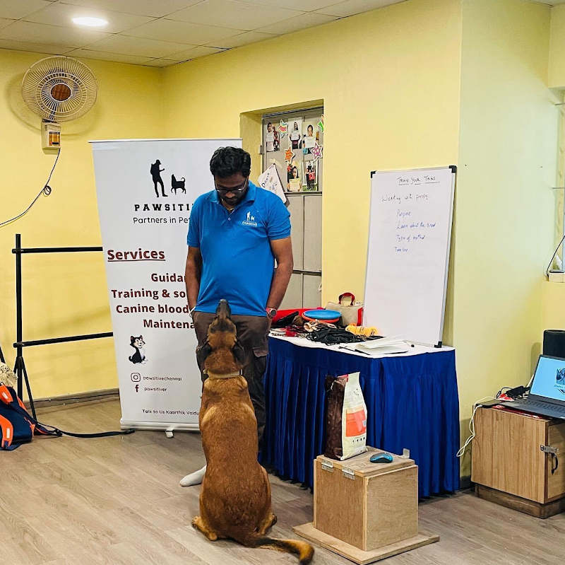 Travail Dog Training — Photo 3