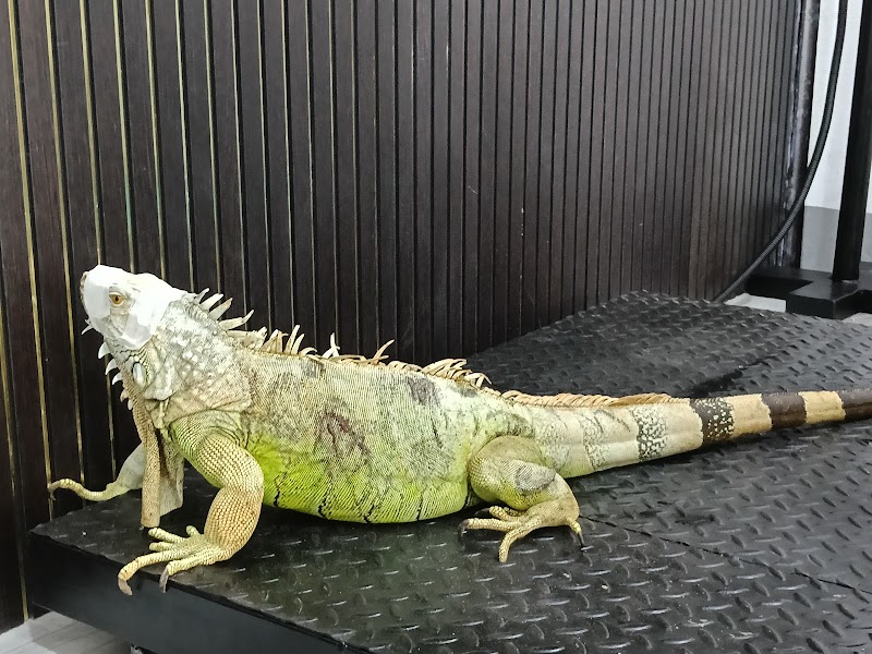 TRUVET PET HOSPITAL — Photo 2