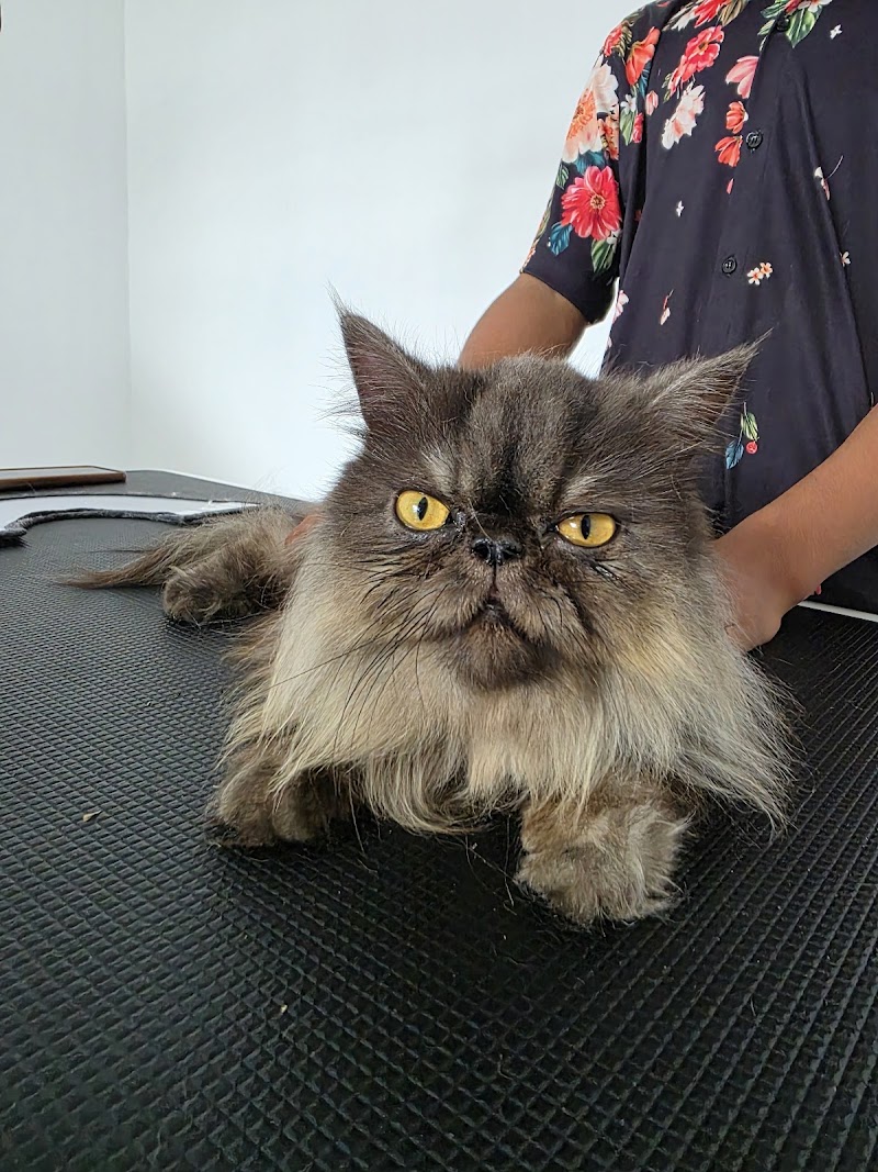 TRUVET PET HOSPITAL — Photo 4