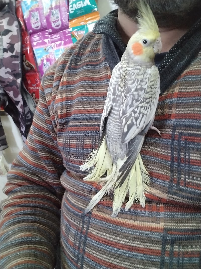 UK07 Pets World & Dog Kennel Dehradun — Photo 4