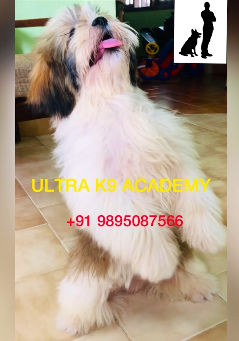 Ultra K9 Academy, Since 2002