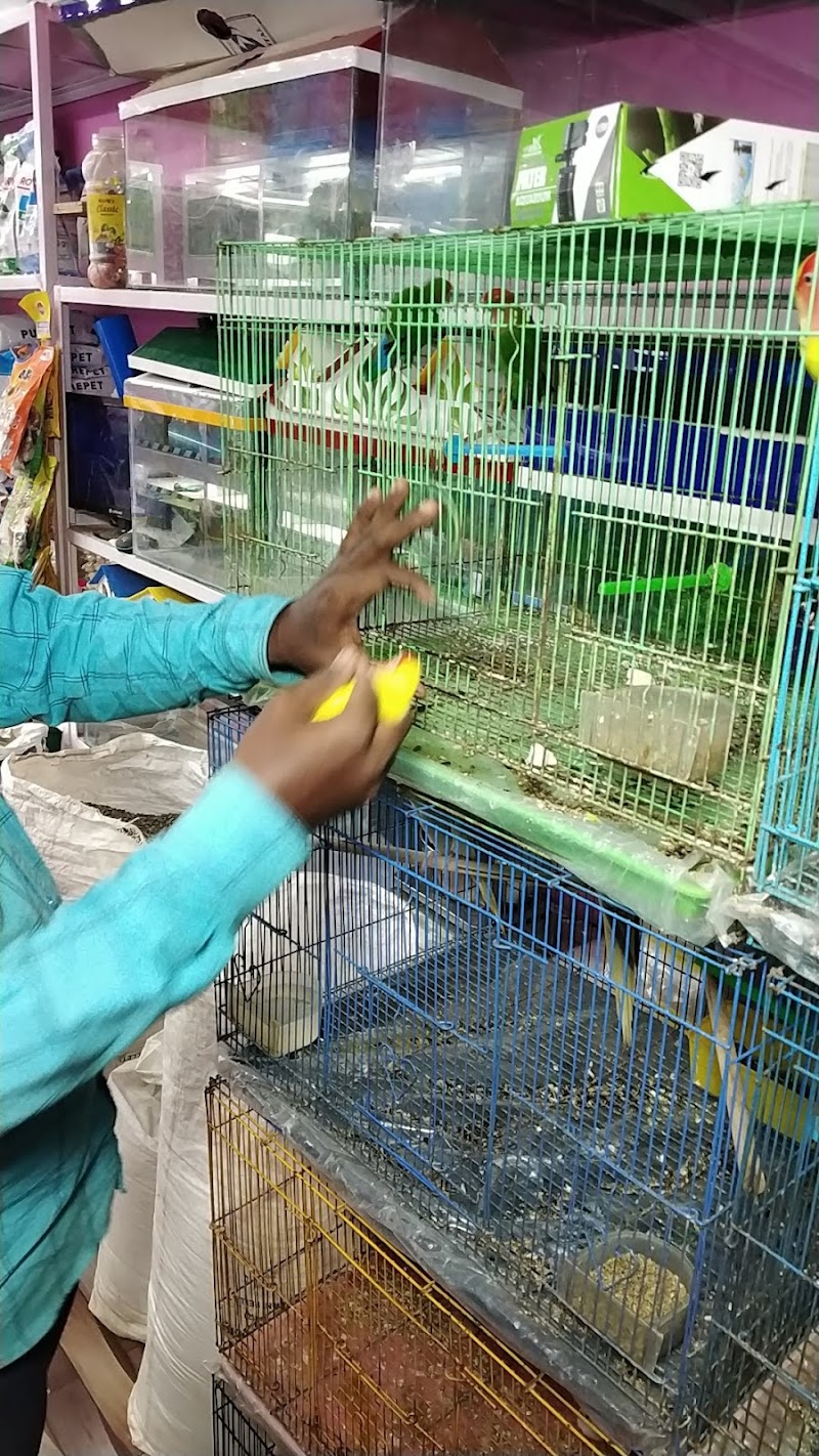 Ulva Aquarium — Photo 2