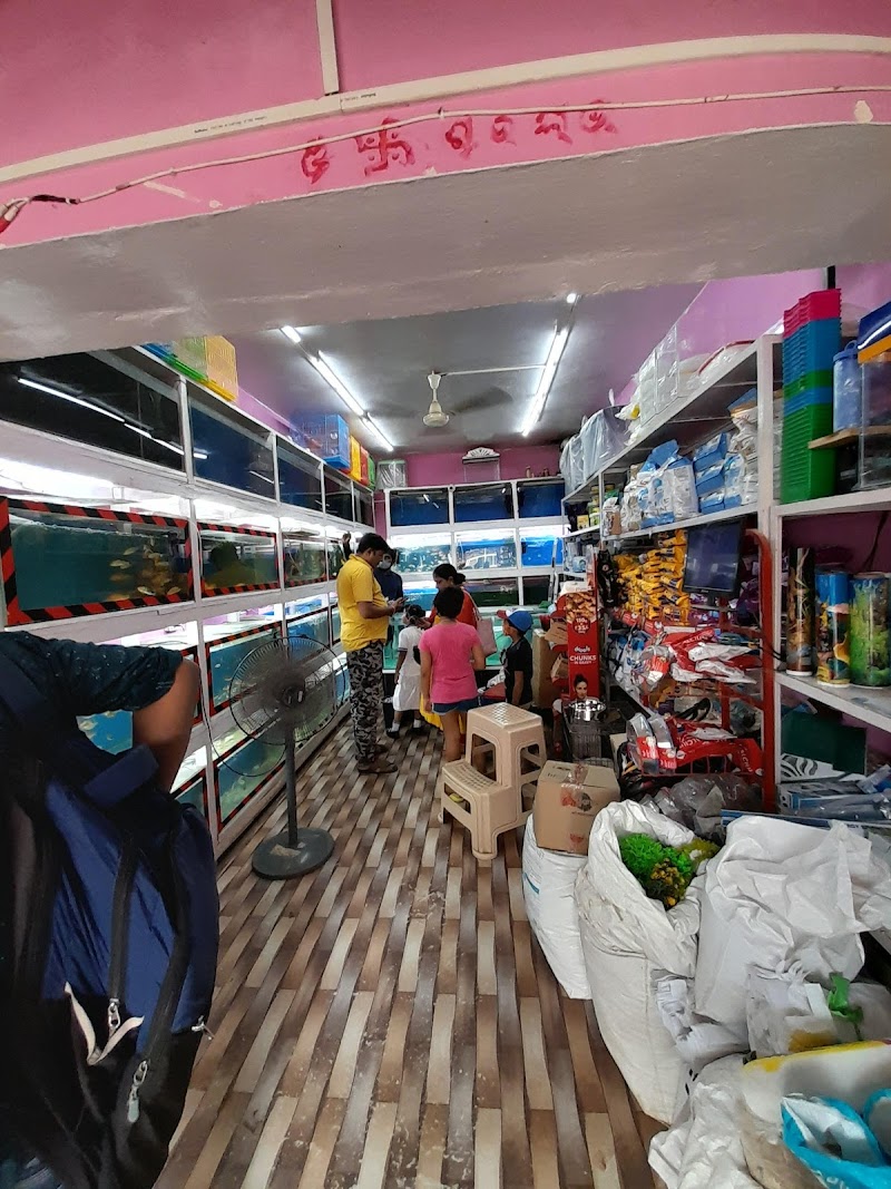 Ulva Aquarium — Photo 3