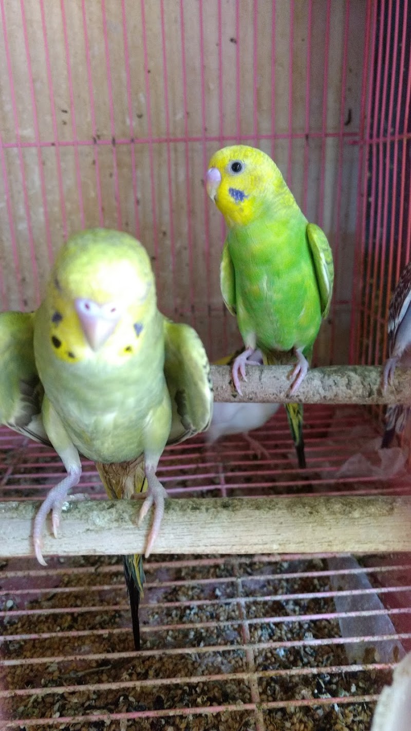 Ulva Aquarium — Photo 4