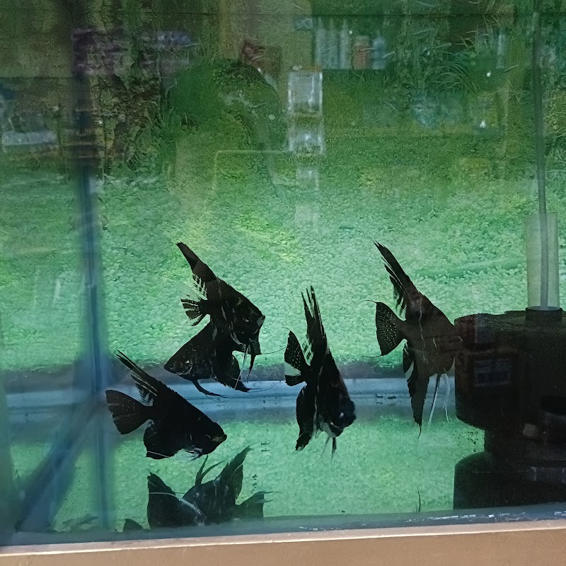 UNIQUE PETS — Photo 2