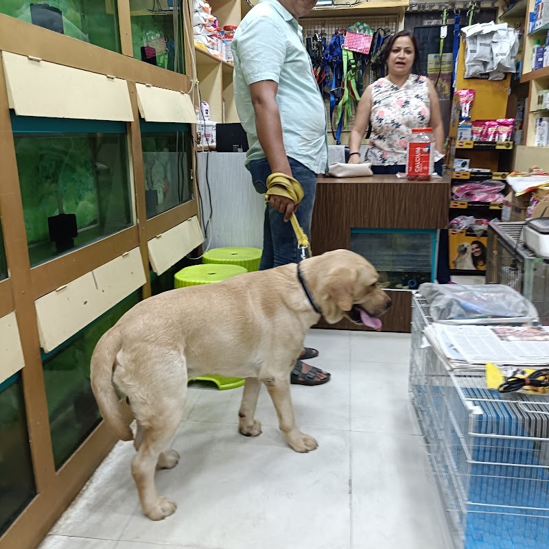 UNIQUE PETS — Photo 3