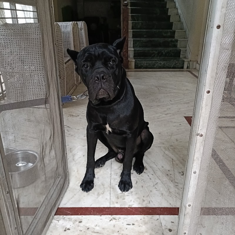 UNIQUE PETS — Photo 4