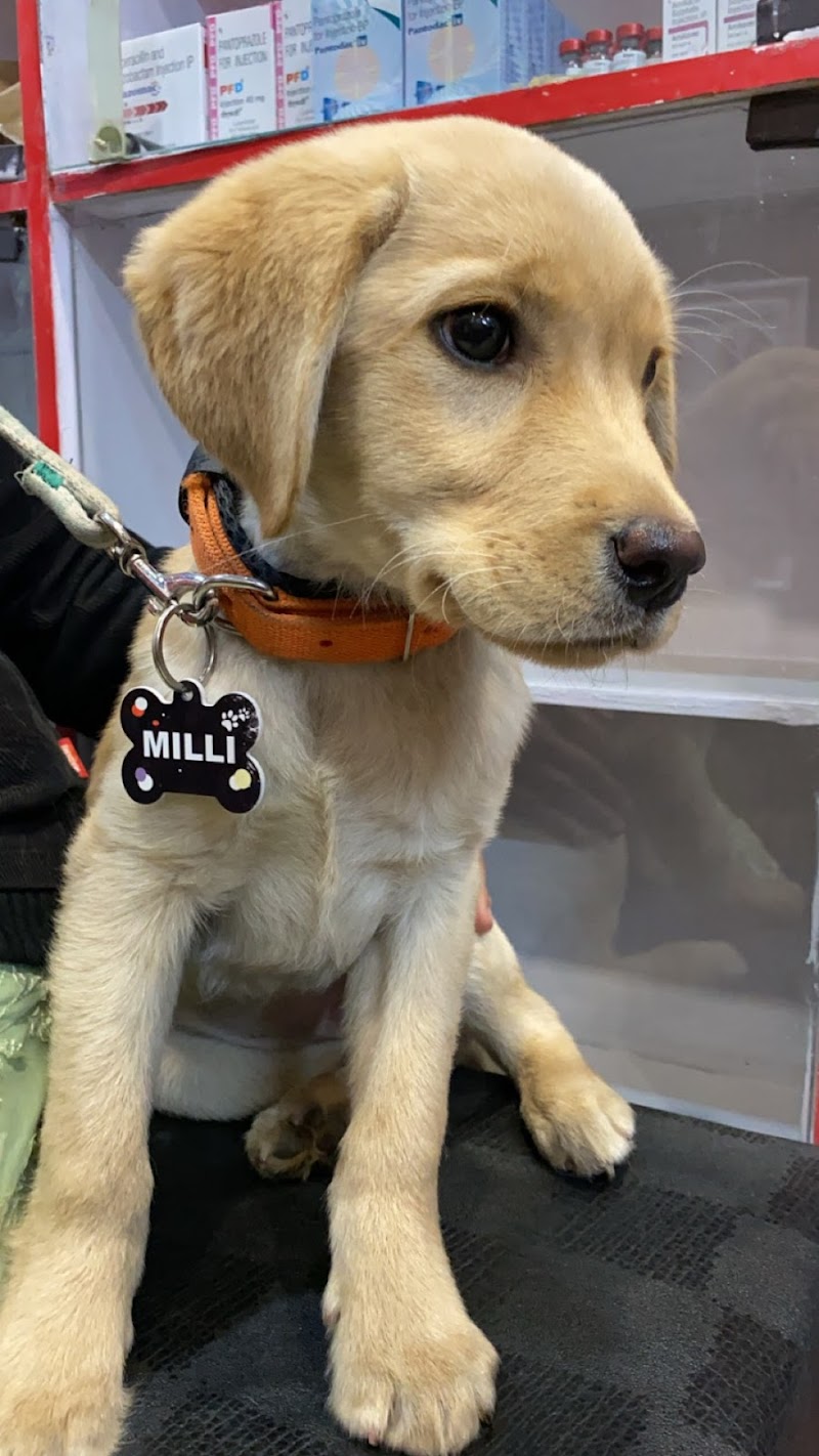 URBAN PET CLINIC — Photo 3