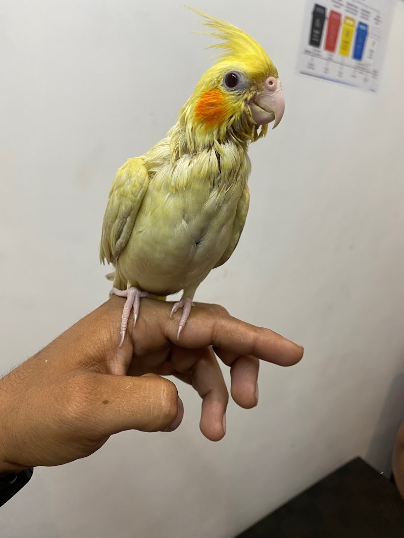 URBAN PET CLINIC — Photo 4