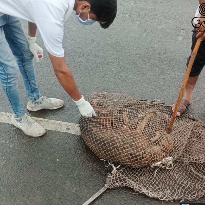 Utkarsh Animal Hospital - Nashik — Photo 2