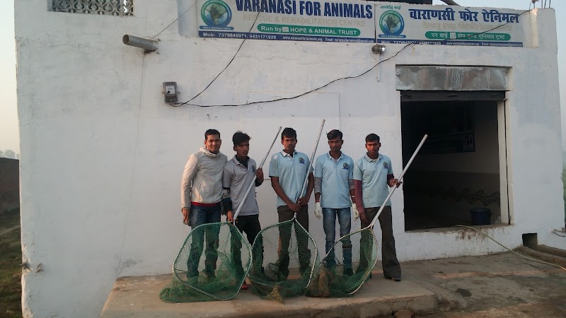 Varanasi For Animals — Photo 2