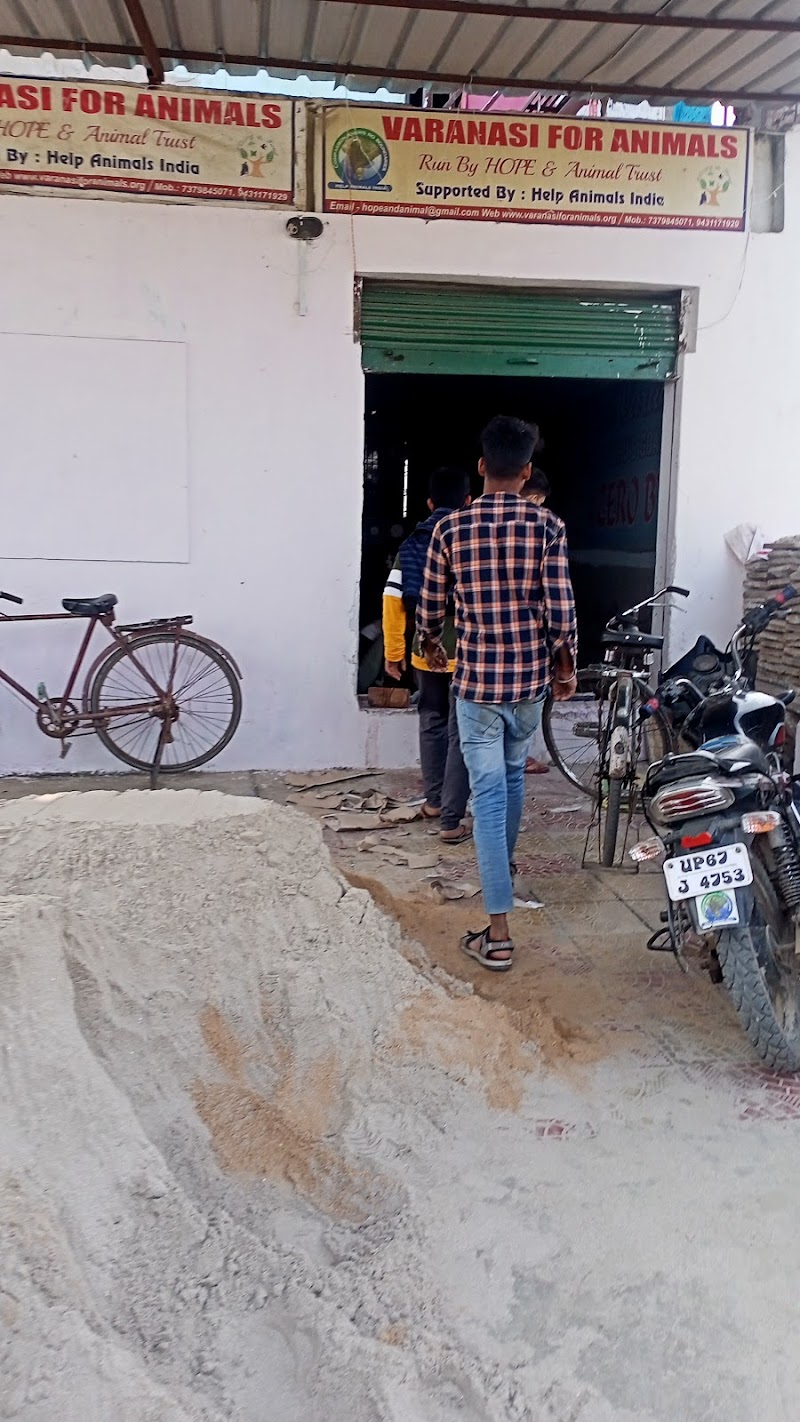 Varanasi For Animals — Photo 4