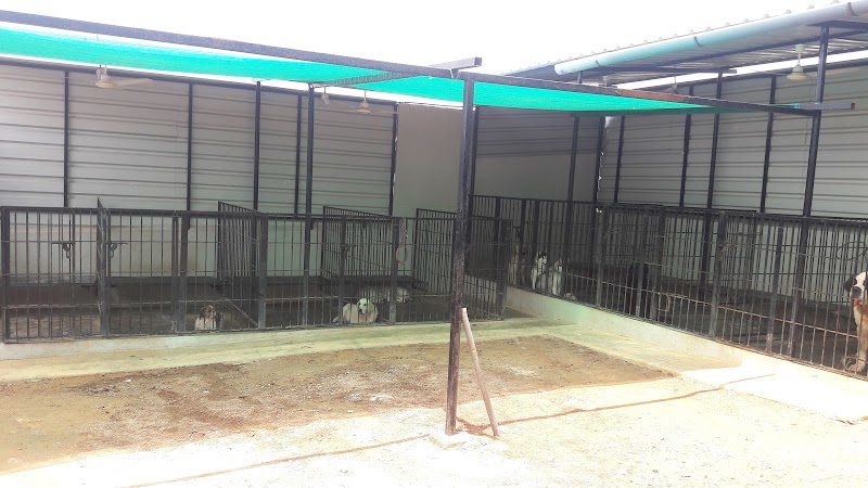 Vara's Kennel