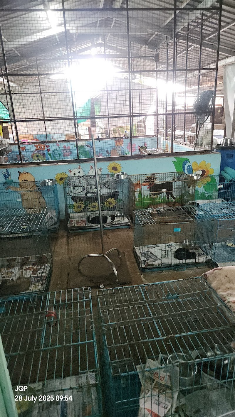 "Vatsalya " Animal Care Trust, Shaktinagar — Photo 4