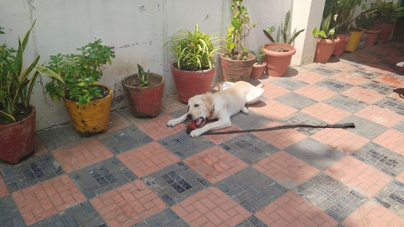 VEERU PET CARE HOSTEL