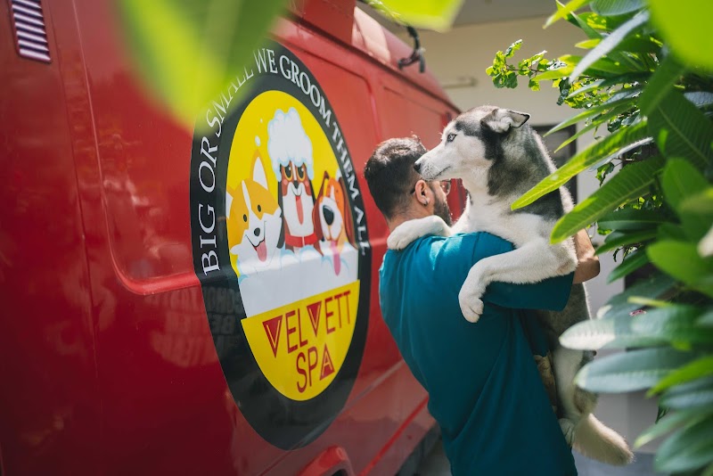 Velvett Spa | Luxury Pet Grooming at Home Service