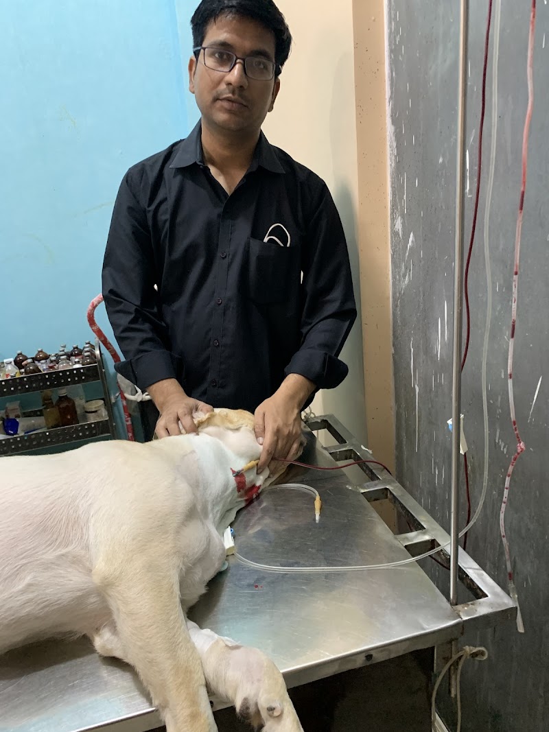 Vet Land Pet Clinic & Surgery Centre — Photo 3