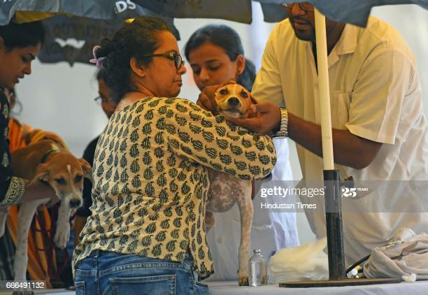 Vet on Call — Photo 2