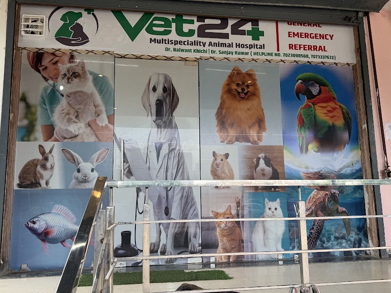 vet24 multispeciality animal hospital