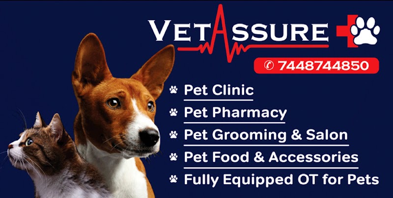 Vetassure Pet Clinic