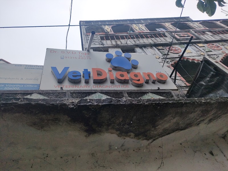 VetDiagno