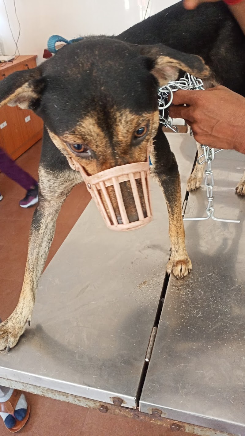 Veterianry Polyclinic Mangalore — Photo 2