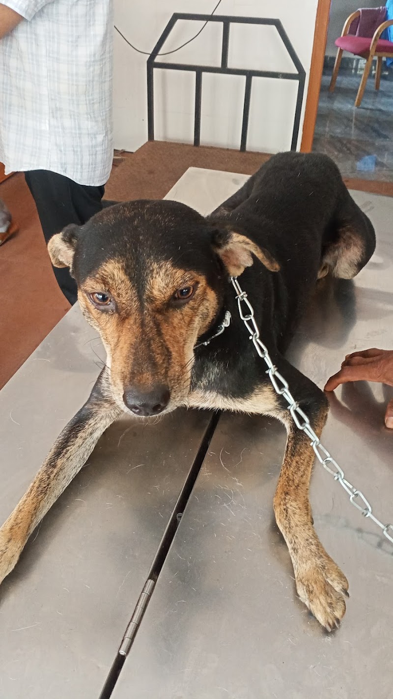 Veterianry Polyclinic Mangalore — Photo 3