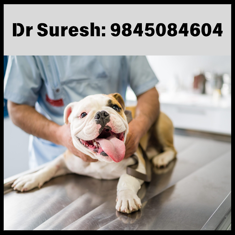 Veterinary Clinic Surathkal Dr Suresh Shetty — Photo 2