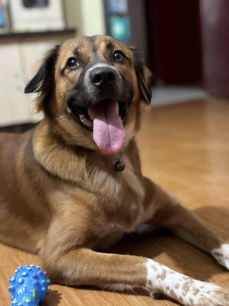 Veterinary Hospital — Photo 2