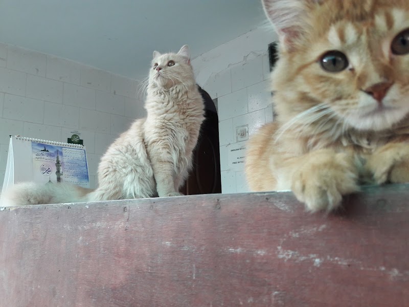 Veterinary Hospital — Photo 4