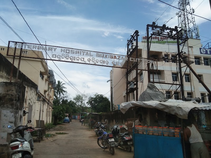 Veterinary Hospital, Buxibazar — Photo 2