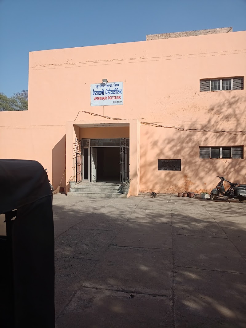 veterinary hospital/ dog clinic