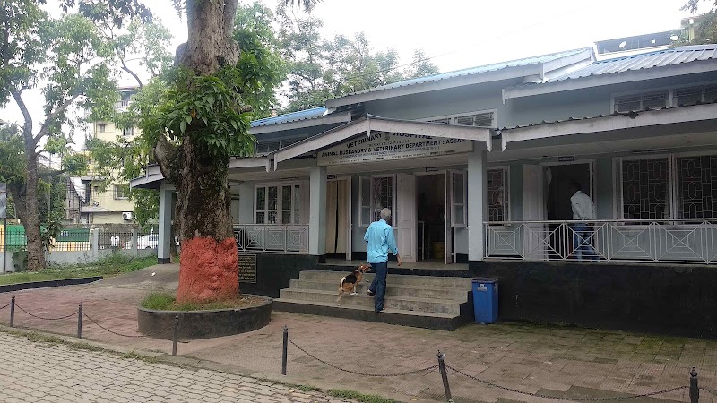 Veterinary Hospital — Photo 2