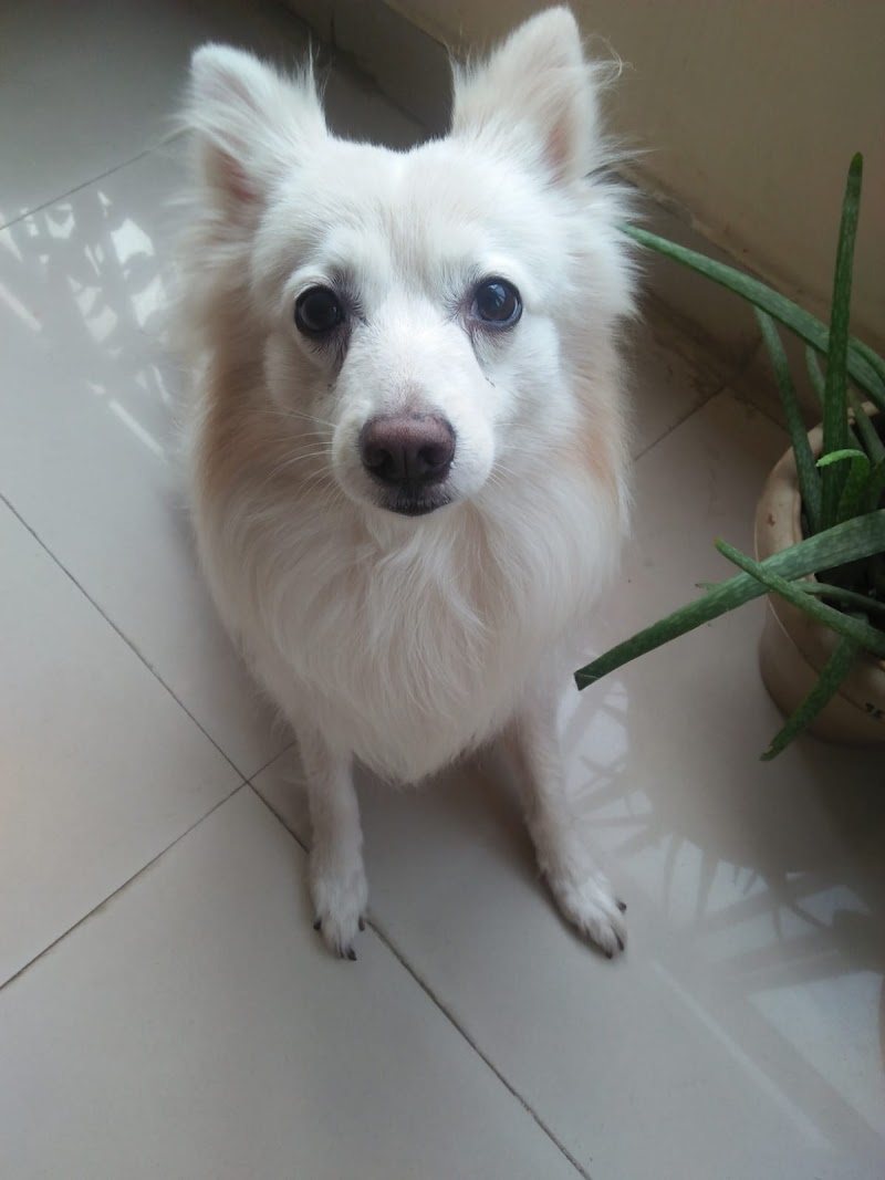 Veterinary Hospital — Photo 4