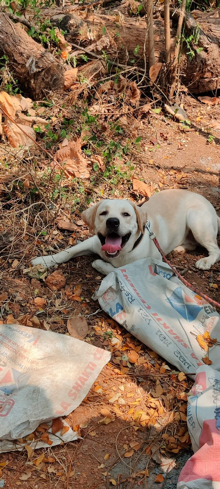 Veterinary Hospital — Photo 3