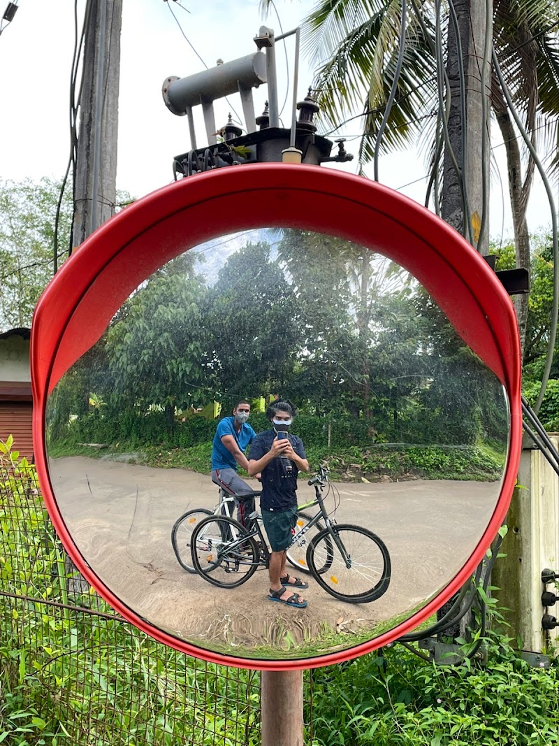 Veterinary Hospital — Photo 4