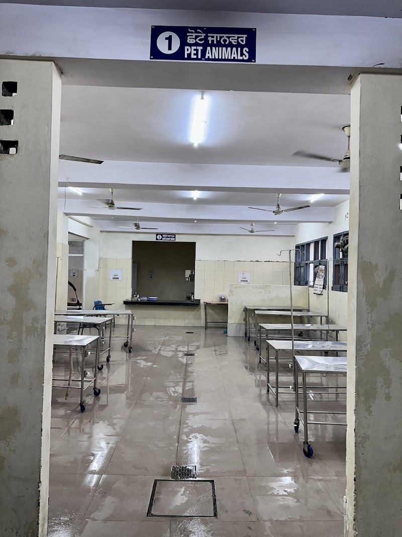 Veterinary Polyclinic Amritsar — Photo 3