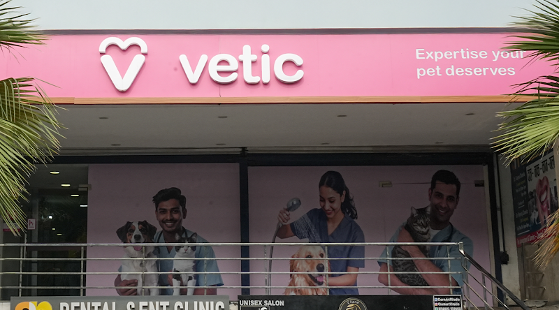 Vetic Pet Clinic Noida Sec-49