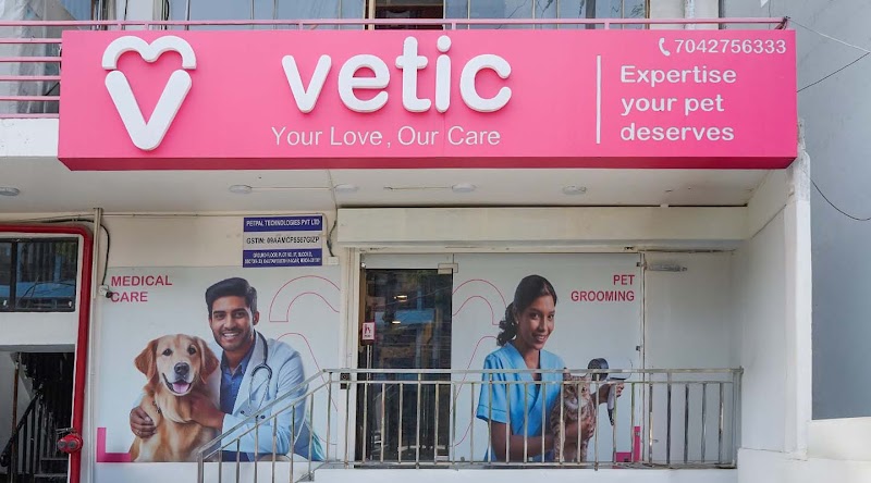 Vetic Pet Clinic Noida Sector 20