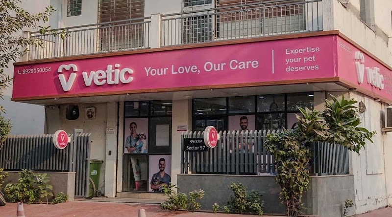 Vetic Pet Clinic Sec-57 Gurgaon